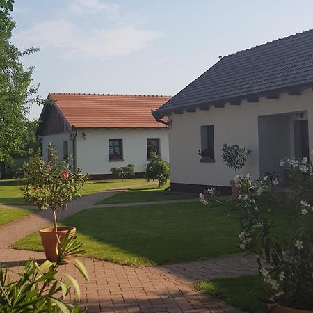 Tóth Vendégház és Apartmanház Újfehértó Ujfeherto Exterior foto